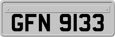 GFN9133