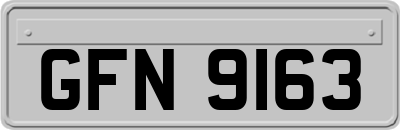 GFN9163