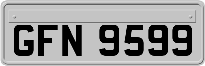 GFN9599
