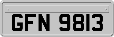 GFN9813