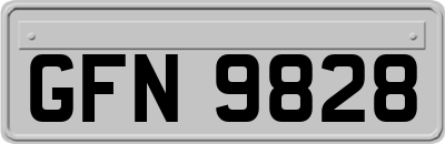 GFN9828