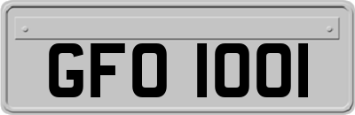GFO1001