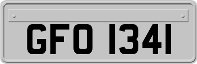 GFO1341