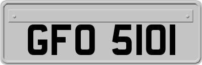 GFO5101