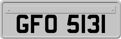 GFO5131