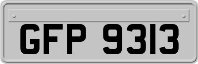 GFP9313