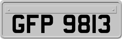 GFP9813