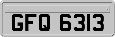 GFQ6313