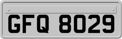 GFQ8029