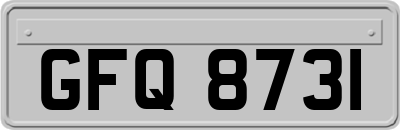 GFQ8731