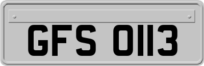 GFS0113