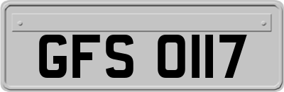 GFS0117