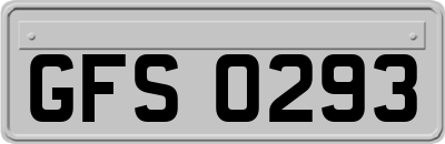 GFS0293
