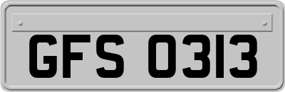 GFS0313