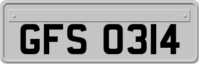 GFS0314