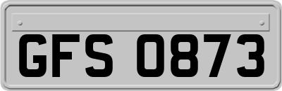 GFS0873