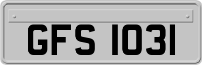 GFS1031
