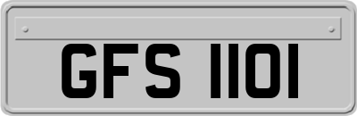 GFS1101