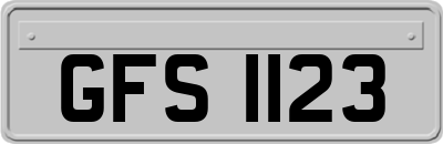 GFS1123