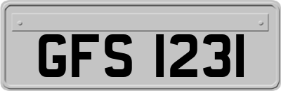 GFS1231