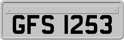 GFS1253