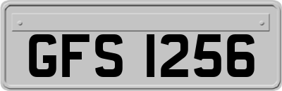 GFS1256