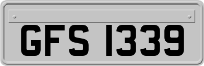 GFS1339