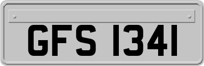 GFS1341