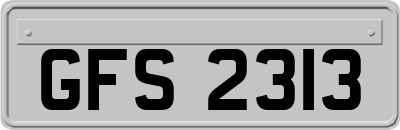 GFS2313