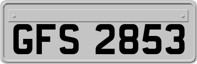 GFS2853