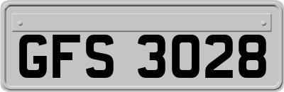 GFS3028