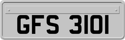 GFS3101
