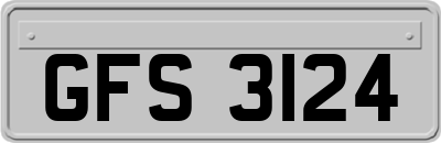 GFS3124