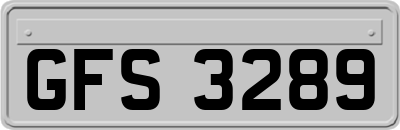 GFS3289