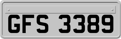 GFS3389