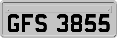 GFS3855