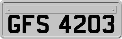 GFS4203