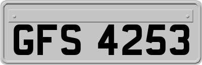 GFS4253