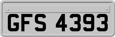 GFS4393