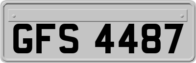 GFS4487