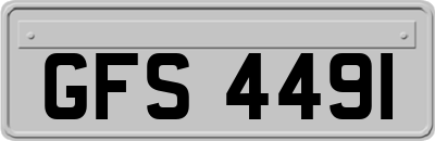 GFS4491