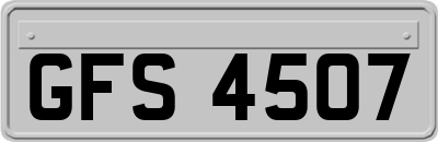 GFS4507