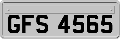 GFS4565