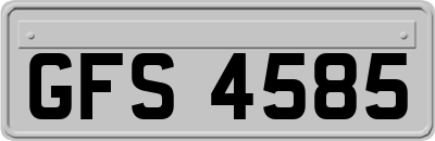 GFS4585