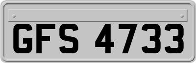 GFS4733