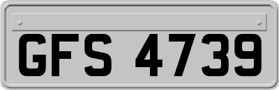 GFS4739