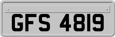 GFS4819