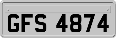 GFS4874