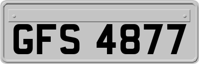 GFS4877