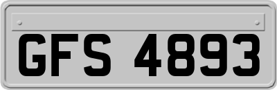 GFS4893